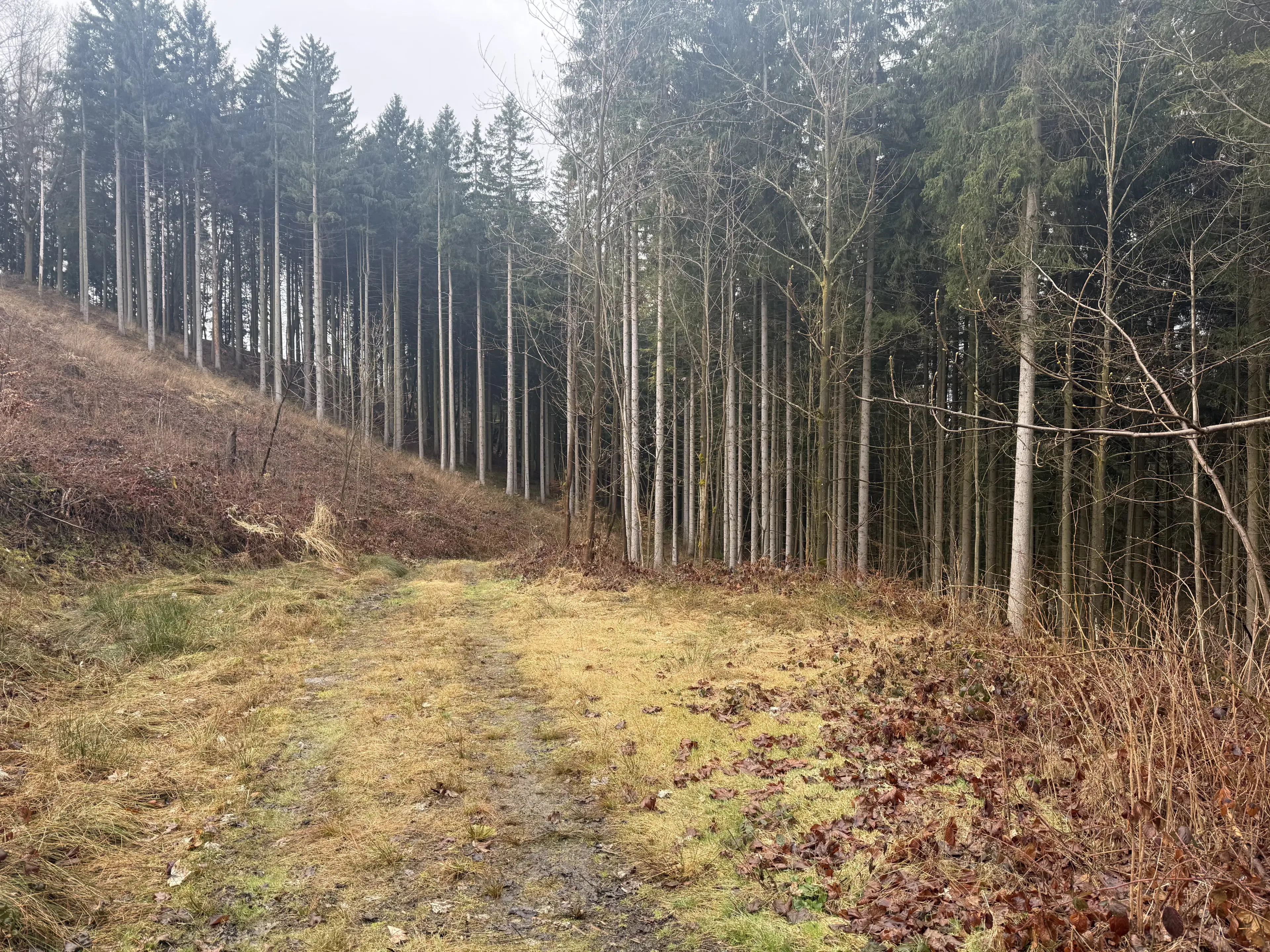 Eigendomsperceel van 2.172 m² nabij vakantiehuizen, Annaberg - Duitsland