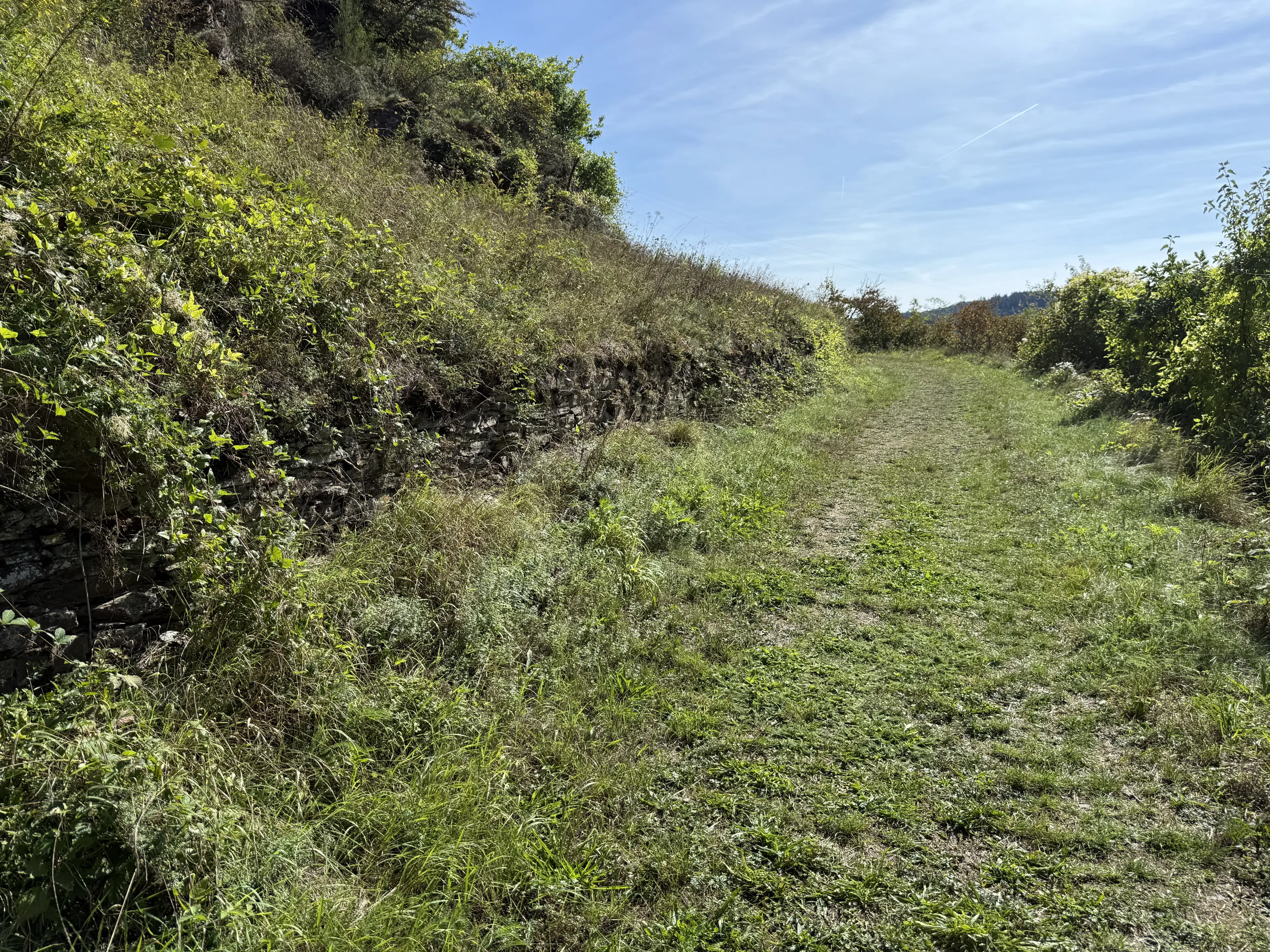 Perceel met uitzicht over camping (634 m²) in Cochem - Duitsland