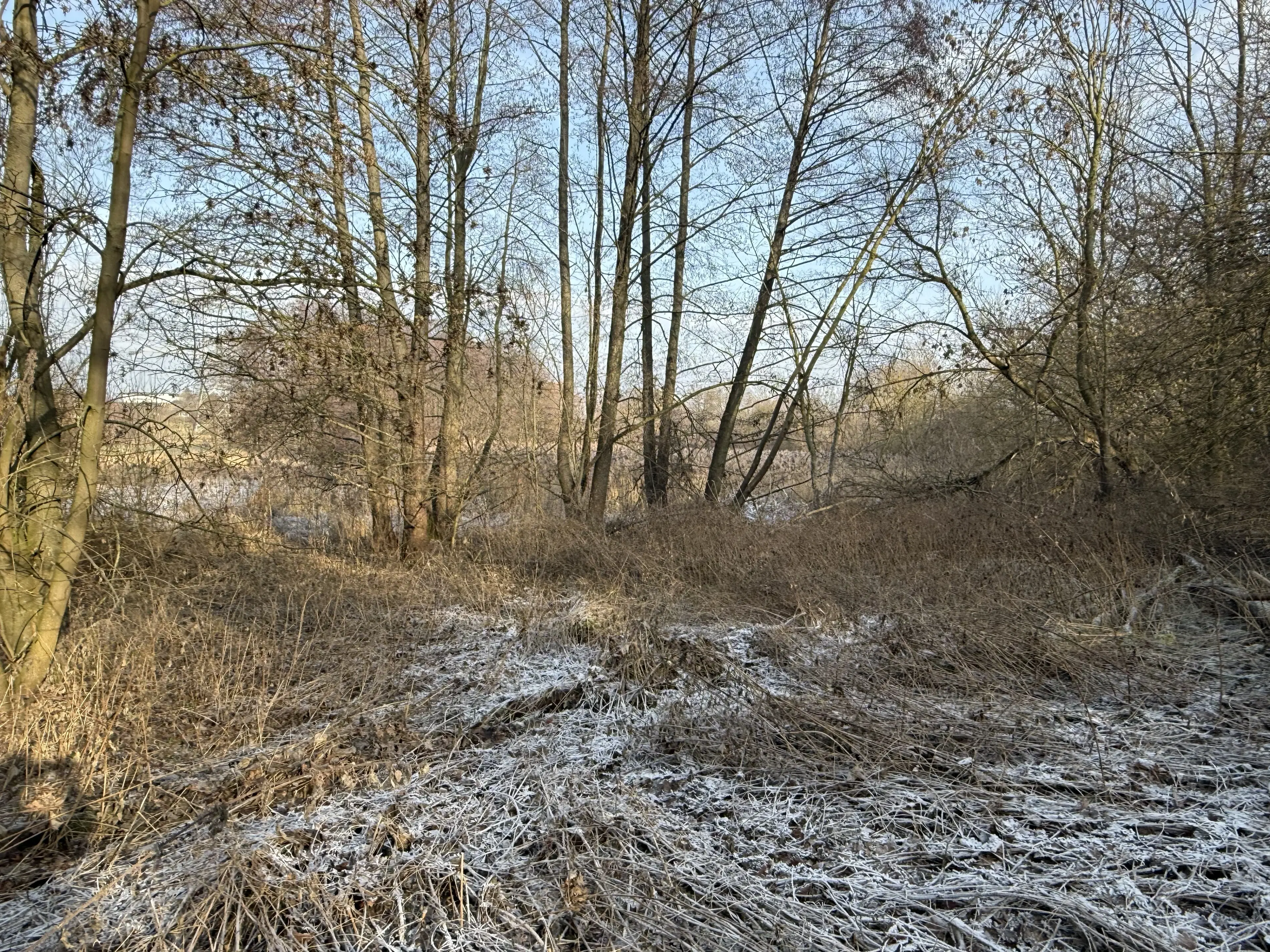 1.022 m² eigendomsperceel in de regio Döbeln - Duitsland