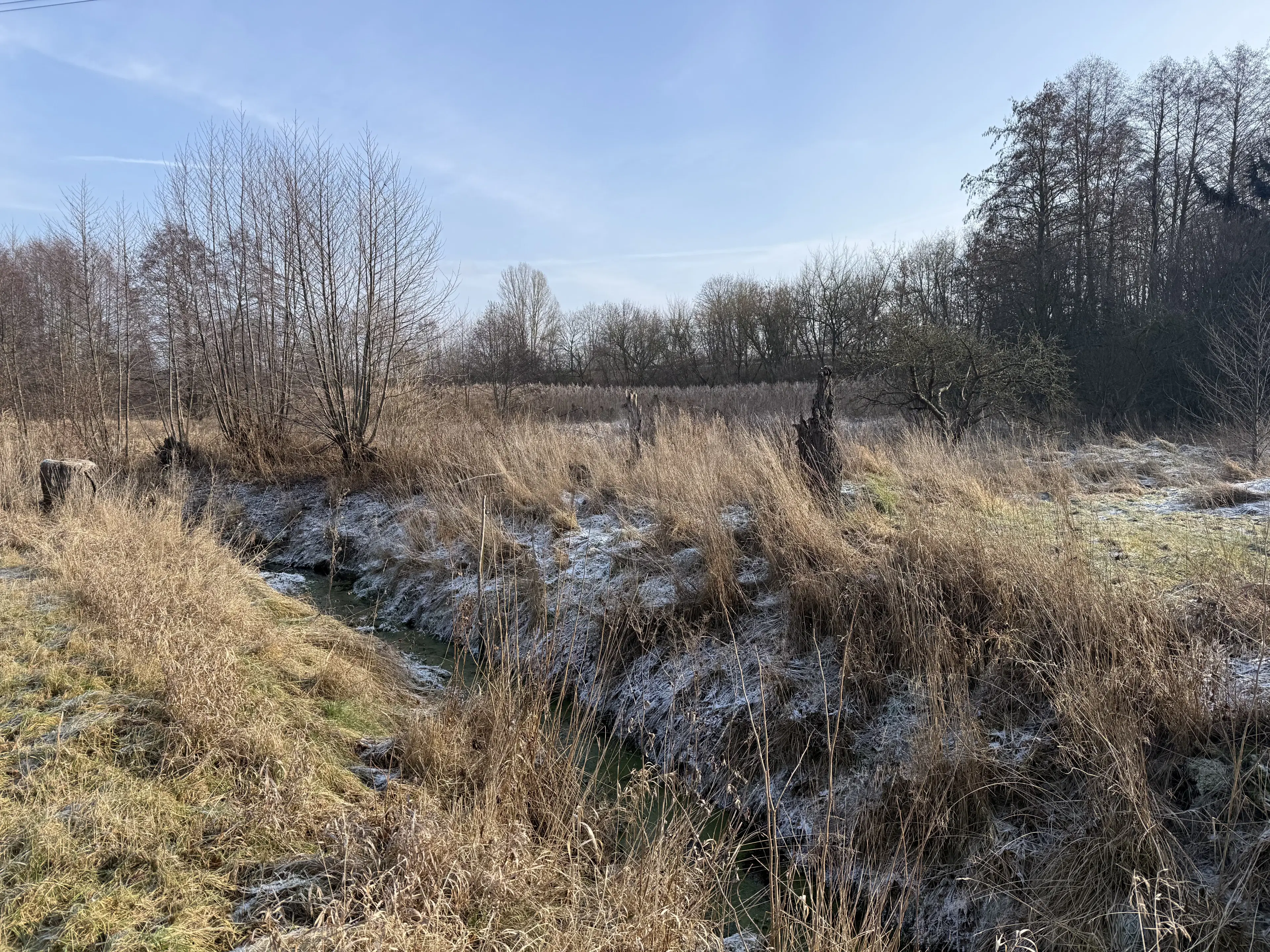 1.022 m² eigendomsperceel in de regio Döbeln - Duitsland