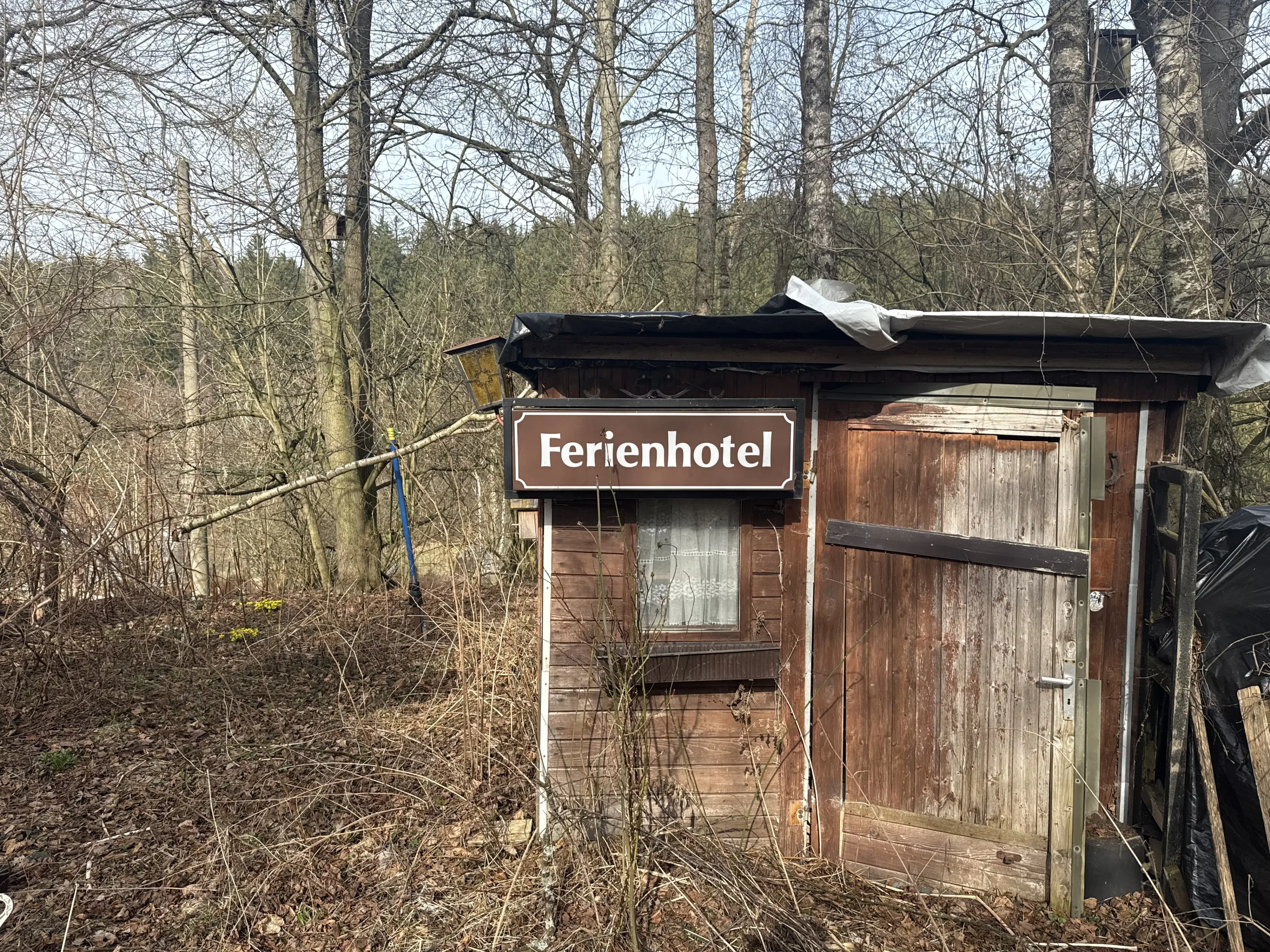Woonhuis met 5 eenheden op perceel van 1.803 m² in Nassau, Freiberg, nabij Frauenstein - Duitsland
