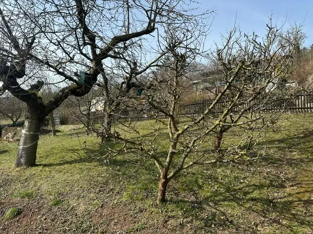 Recreatiewoning op 514 m² eigen grond in Weiße Elster, nabij Leipzig - Duitsland