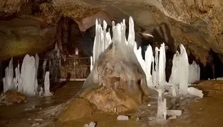 113,324 m² loofbos in Gorno Ozirovo, Varshets Montana - Bulgarije