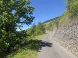 Wijngaard totaal 972 m² met Riesling in Zell, Cochem - Duitsland