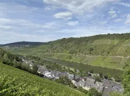 Voormalig wijngaardperceel van 2.958 m² in Zell, Cochem - Duitsland