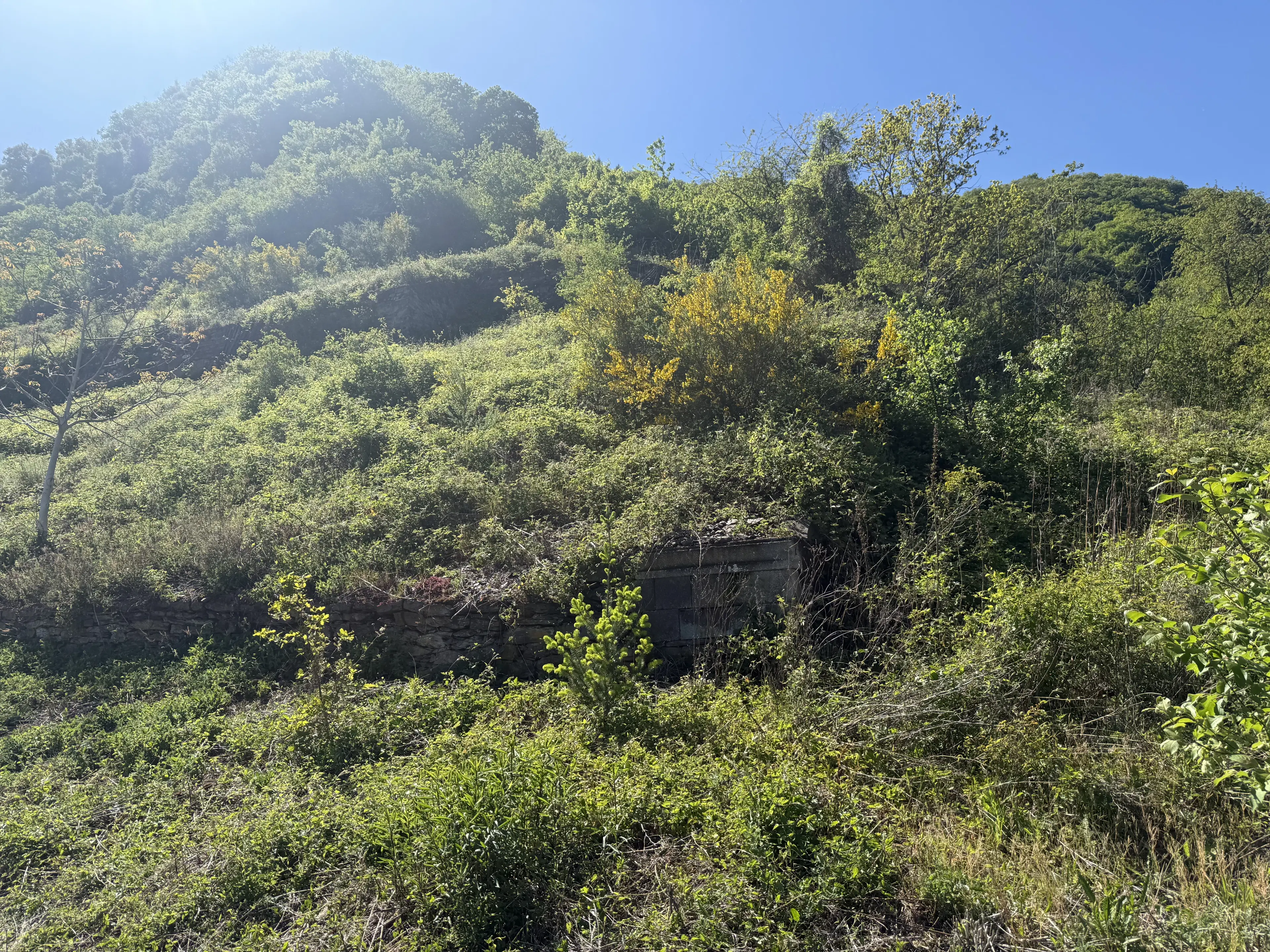 586 m² eigendomsperceel aan de oevers van Cochem - Duitsland