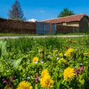 Perceel van 2.090 m² + Gezinswoning + Bijgebouwen - Karaisen, Veliko Tarnovo - Bulgarije