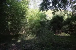 Bosgrond 30.194 m² - Investering & Natuurverblijf, Regio Troyan - Bulgarije
