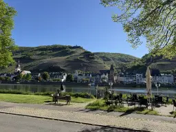 Wijngaard met Riesling, totaal 1.445 m² in Zell, Cochem - Duitsland