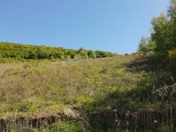 Voormalig wijngaardperceel van 1.688 m² in Zell, Cochem - Duitsland