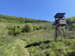 Voormalig wijngaardperceel van 1.688 m² in Zell, Cochem - Duitsland