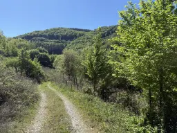 Voormalig wijngaardperceel van 1.688 m² in Zell, Cochem - Duitsland