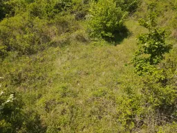 Recreatieperceel van 1.679 m² nabij Cochem - Duitsland