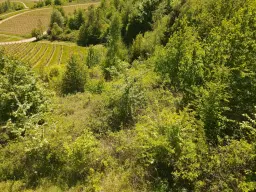 Recreatieperceel van 1.679 m² nabij Cochem - Duitsland