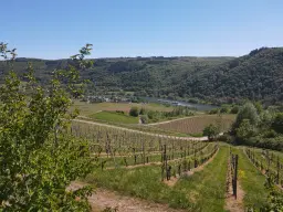 Recreatieperceel van 1.679 m² nabij Cochem - Duitsland