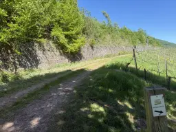 Recreatieperceel van 1.679 m² nabij Cochem - Duitsland