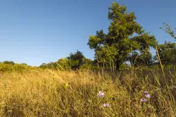 Perceel van 7.857 m² met 2-verdiepingen gezinswoning en bijgebouwen, met uitzicht nabij Veliko Tarnovo - Bulgarije