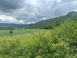 6.166 m² groen perceel nabij Ebenshausen, Thüringen - Duitsland