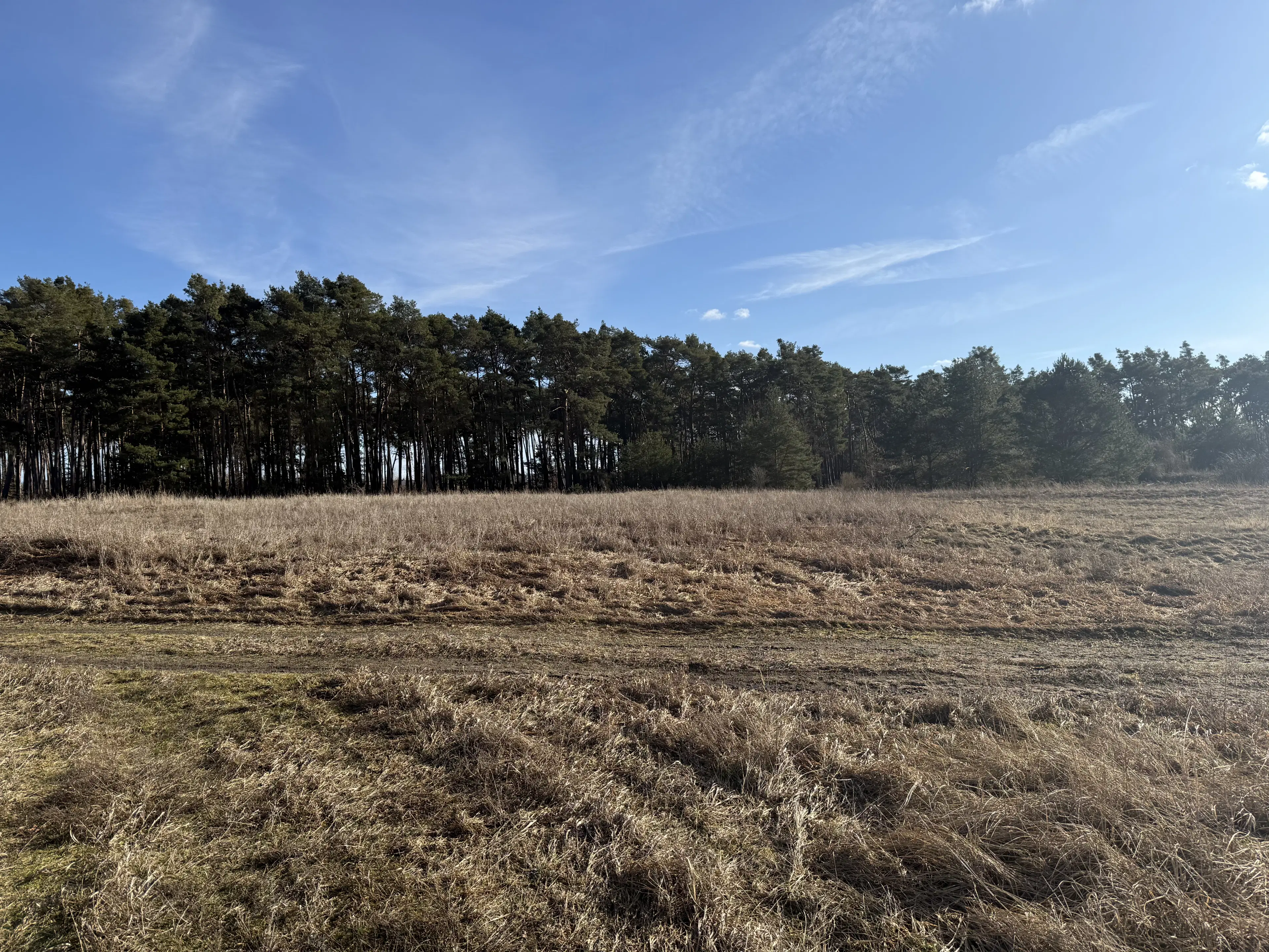 ca. 1.75 ha terrein naast natuurcamping Ragösen - Fläming - Duitsland