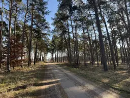 ca. 1.75 ha terrein naast natuurcamping Ragösen - Fläming - Duitsland