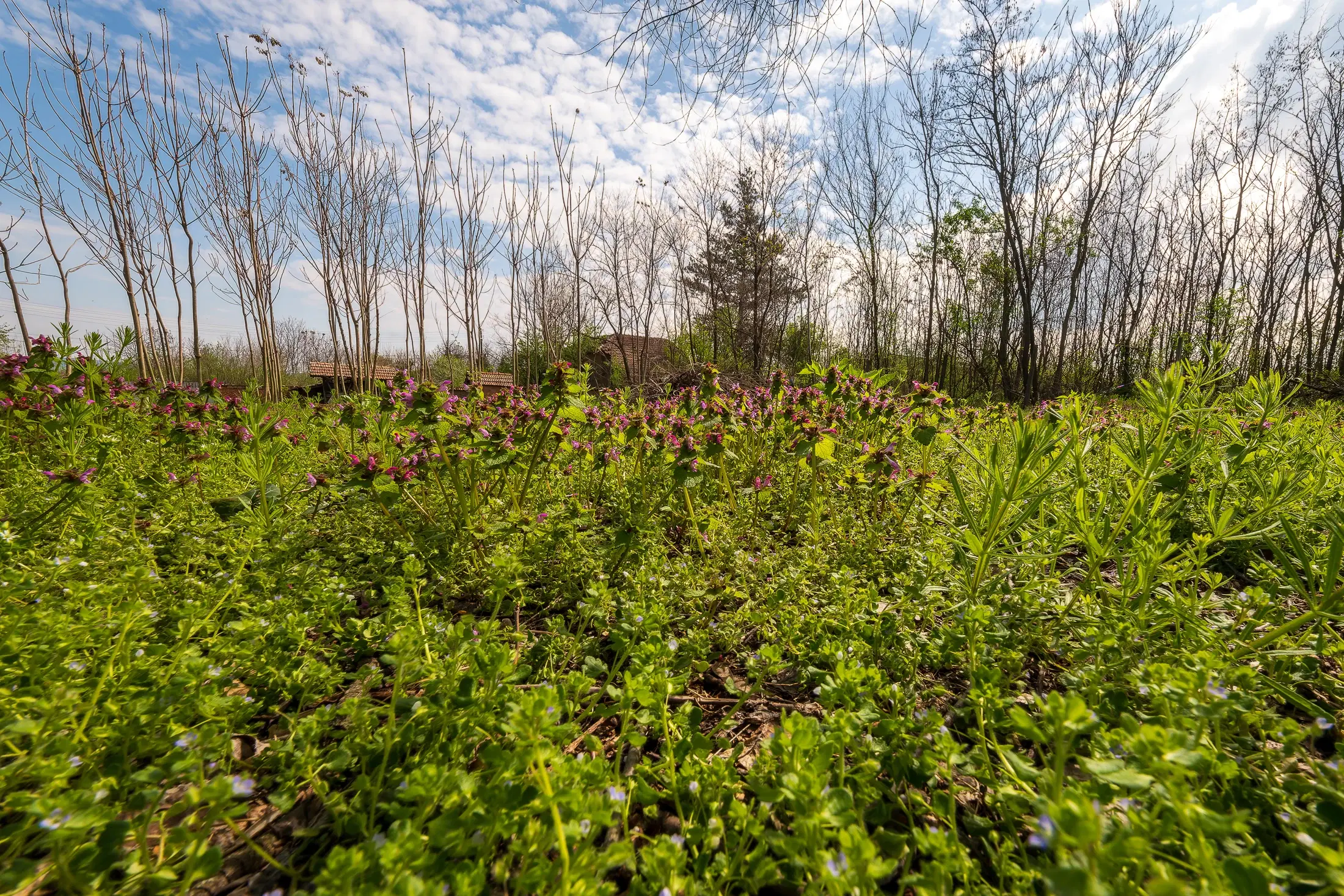 Gezinswoning op 2.090 m² perceel en bijgebouwen in Karaisen, Veliko Tarnovo - Bulgarije