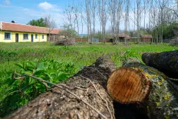 Gezinswoning op 2.090 m² perceel en bijgebouwen in Karaisen, Veliko Tarnovo - Bulgarije
