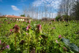 Gezinswoning op 2.090 m² perceel en bijgebouwen in Karaisen, Veliko Tarnovo - Bulgarije