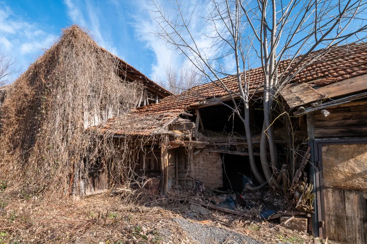 Huis met 431 m2 grond en bijgebouwen in Gyurgich (Vidin) - Bulgarije