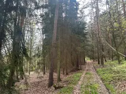 Vooroorlogse hoogbouw bunker op 3.341 m2 perceel in Greiz Thüringen - Duitsland