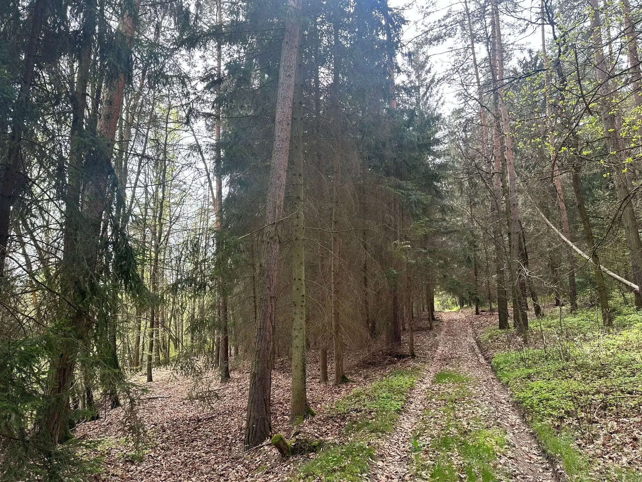 Vooroorlogse hoogbouw bunker op 3.341 m2 perceel in Greiz Thüringen - Duitsland