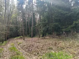 Vooroorlogse hoogbouw bunker op 3.341 m2 perceel in Greiz Thüringen - Duitsland