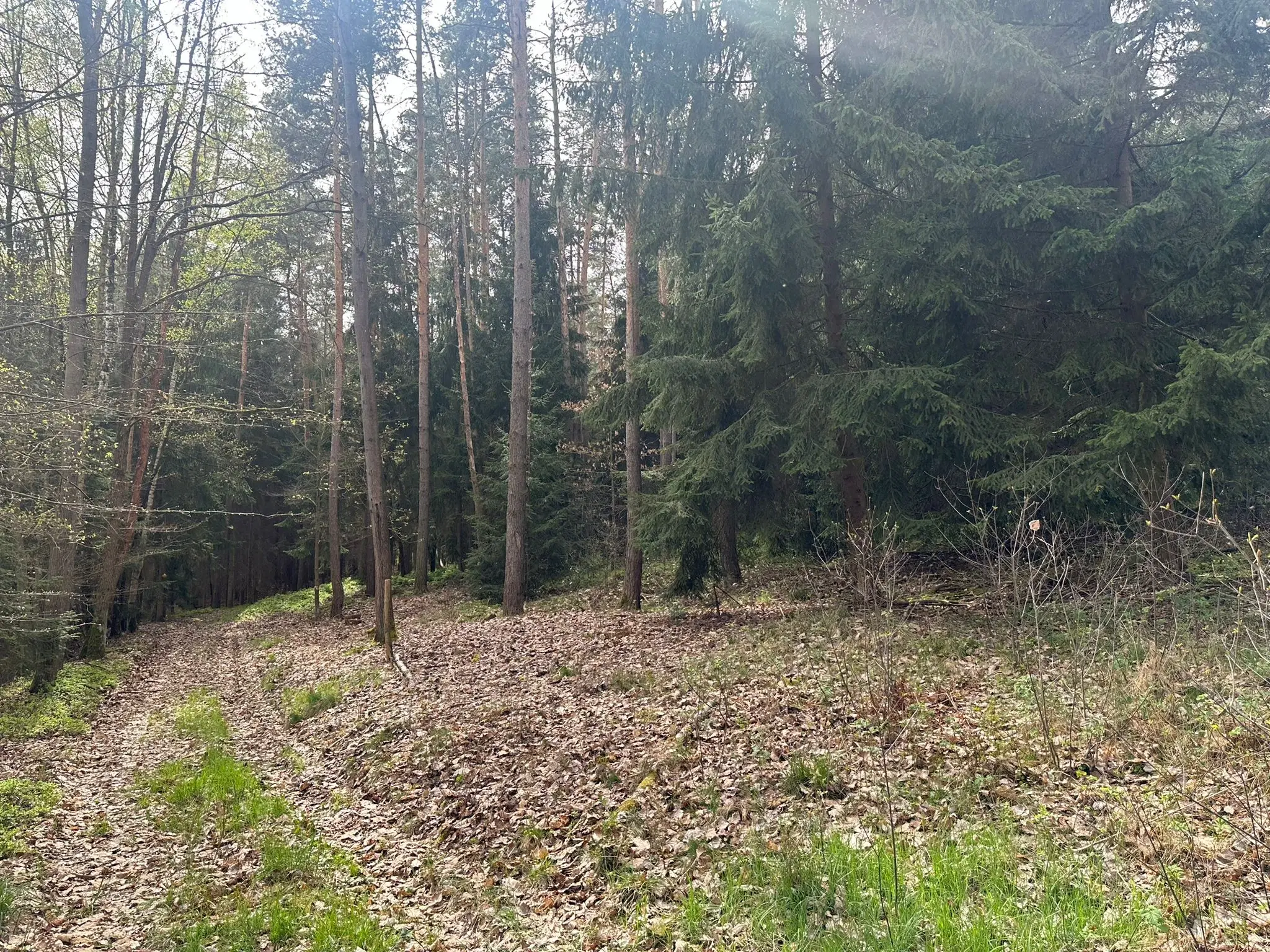 Vooroorlogse hoogbouw bunker op 3.341 m2 perceel in Greiz Thüringen - Duitsland