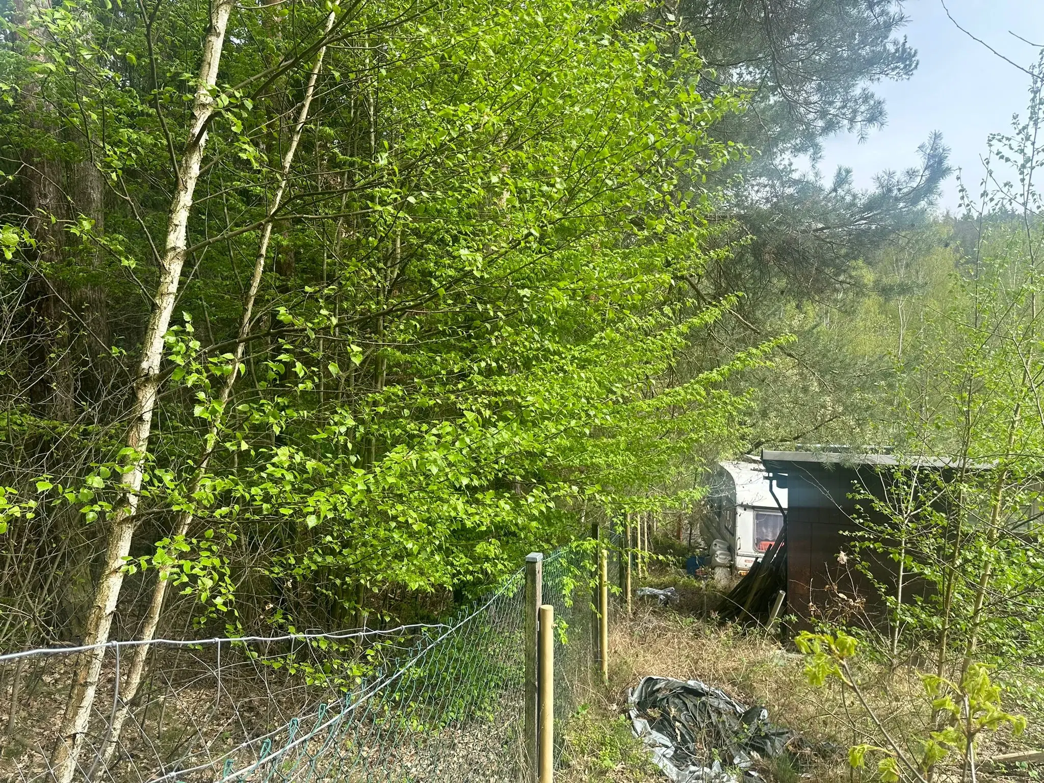 Vooroorlogse hoogbouw bunker op 3.341 m2 perceel in Greiz Thüringen - Duitsland
