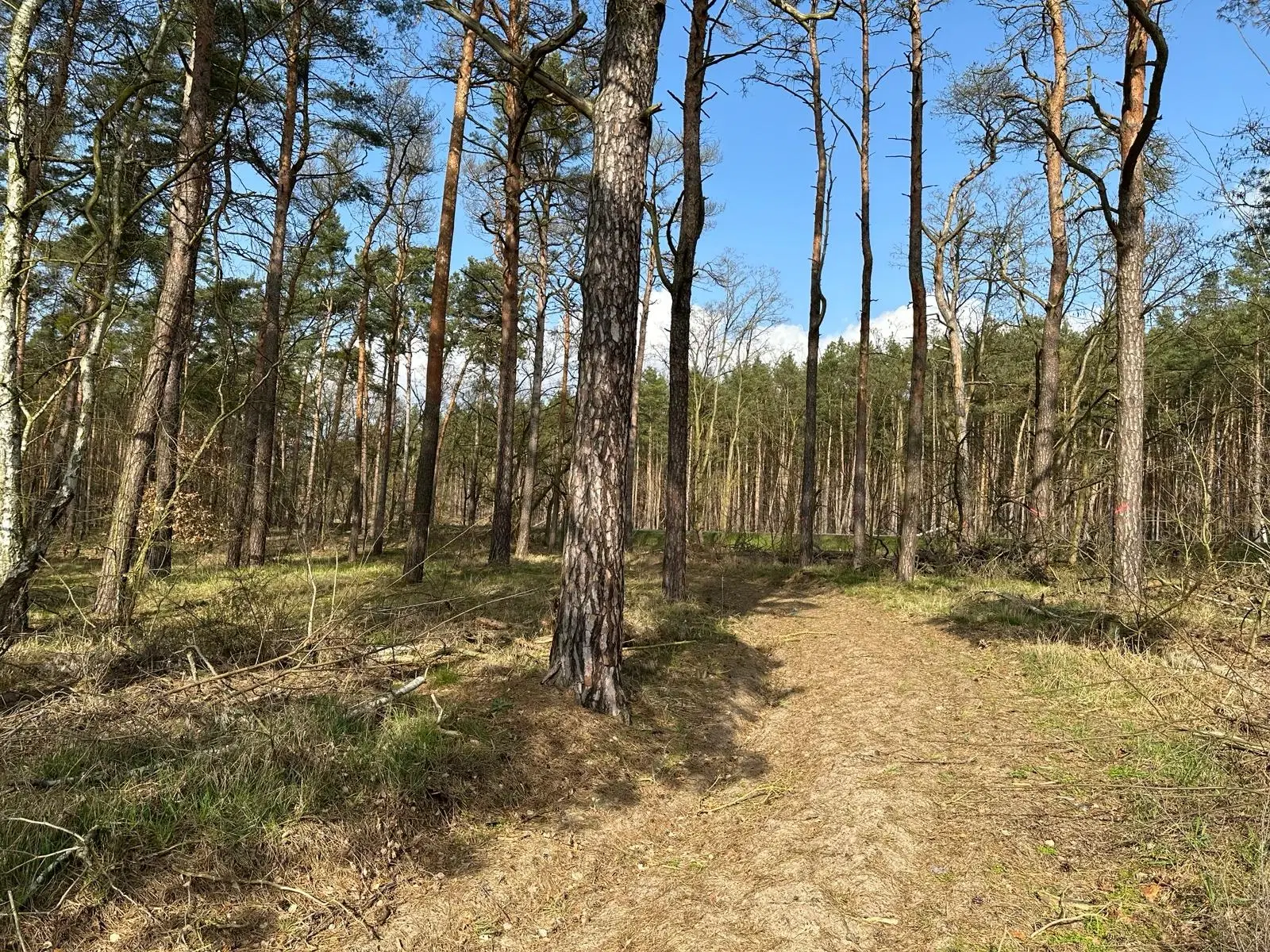 Vrijstaande woning in Wernsdorf - Duitsland