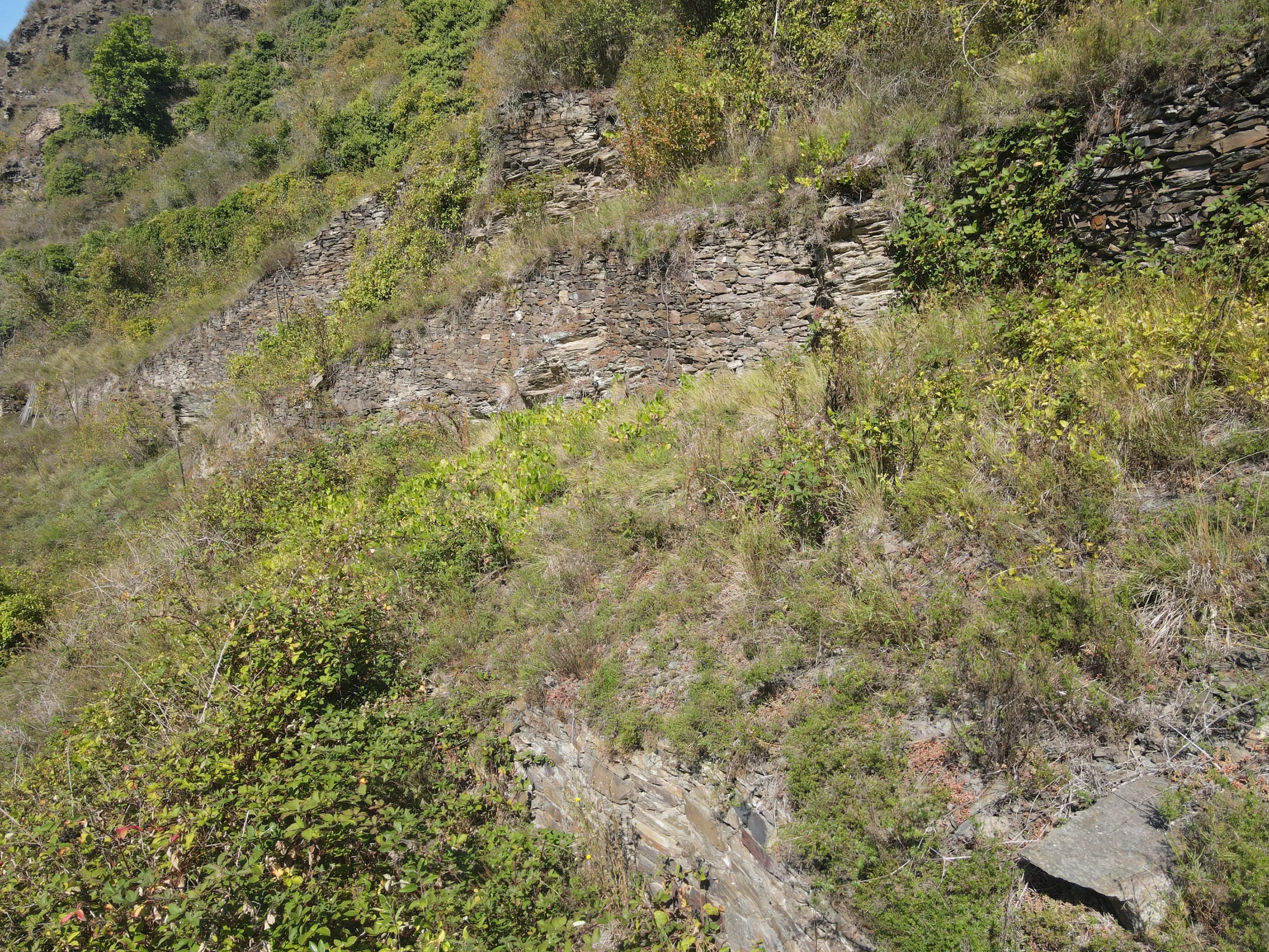 693 m² eigendomsperceel in Klotten naast Cochem - Duitsland