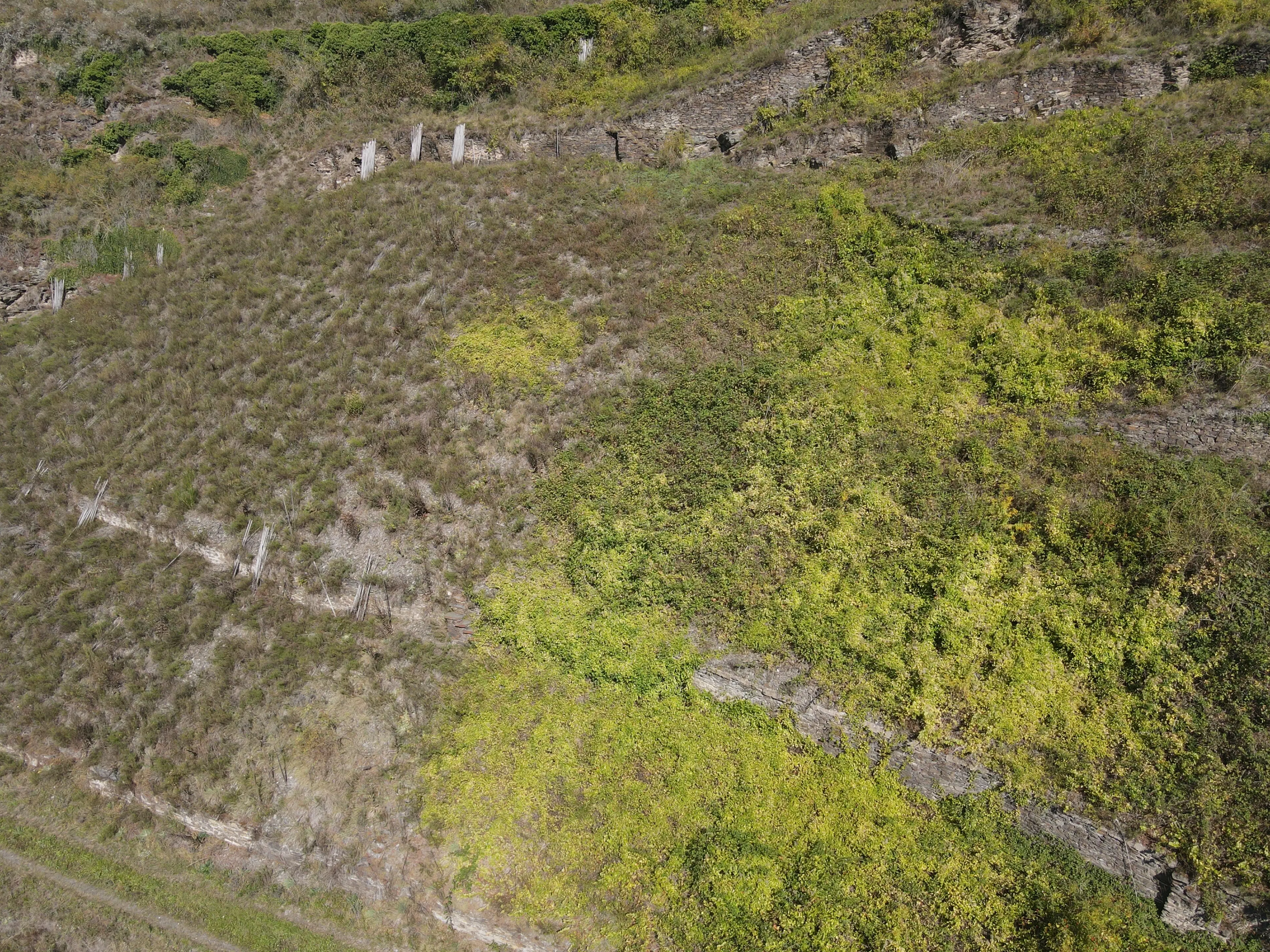 693 m² eigendomsperceel in Klotten naast Cochem - Duitsland