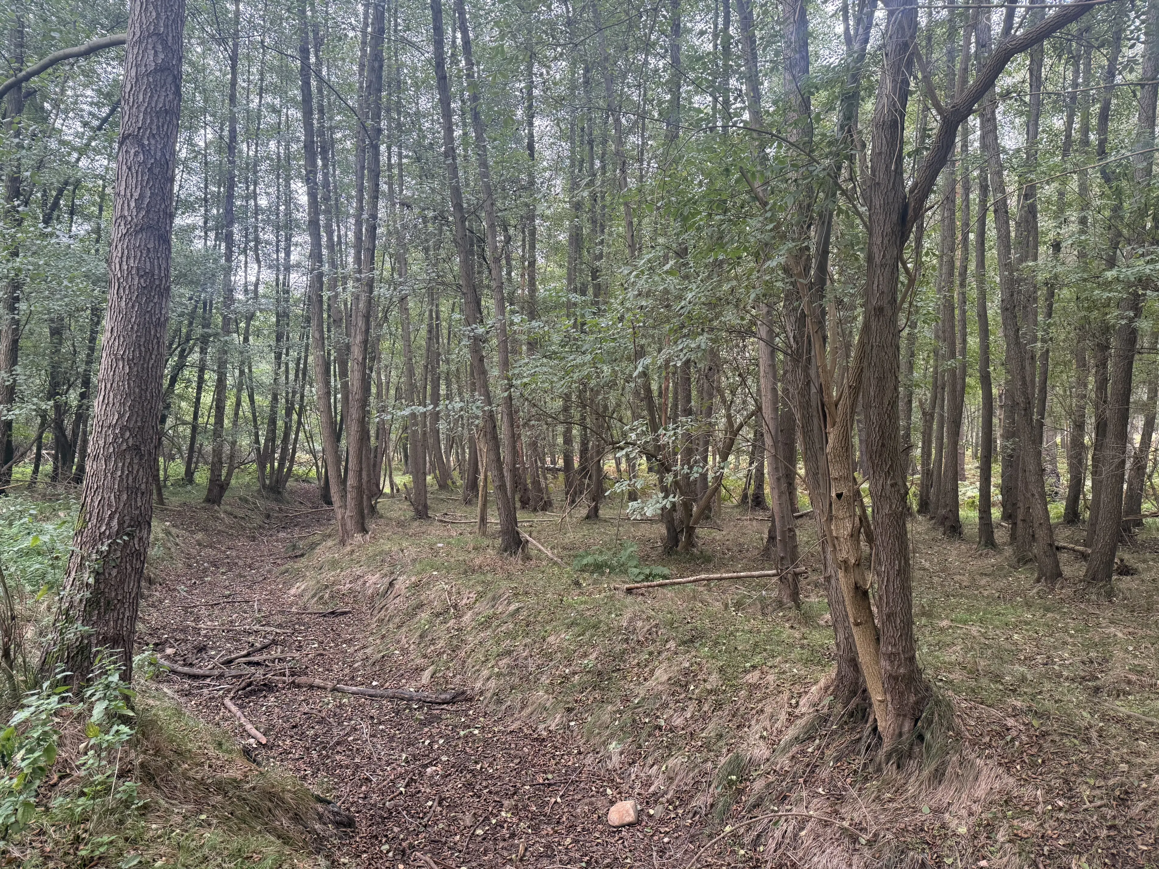 Perceel 762 m² bij het water naast Bad Schmiedeberg - Duitsland