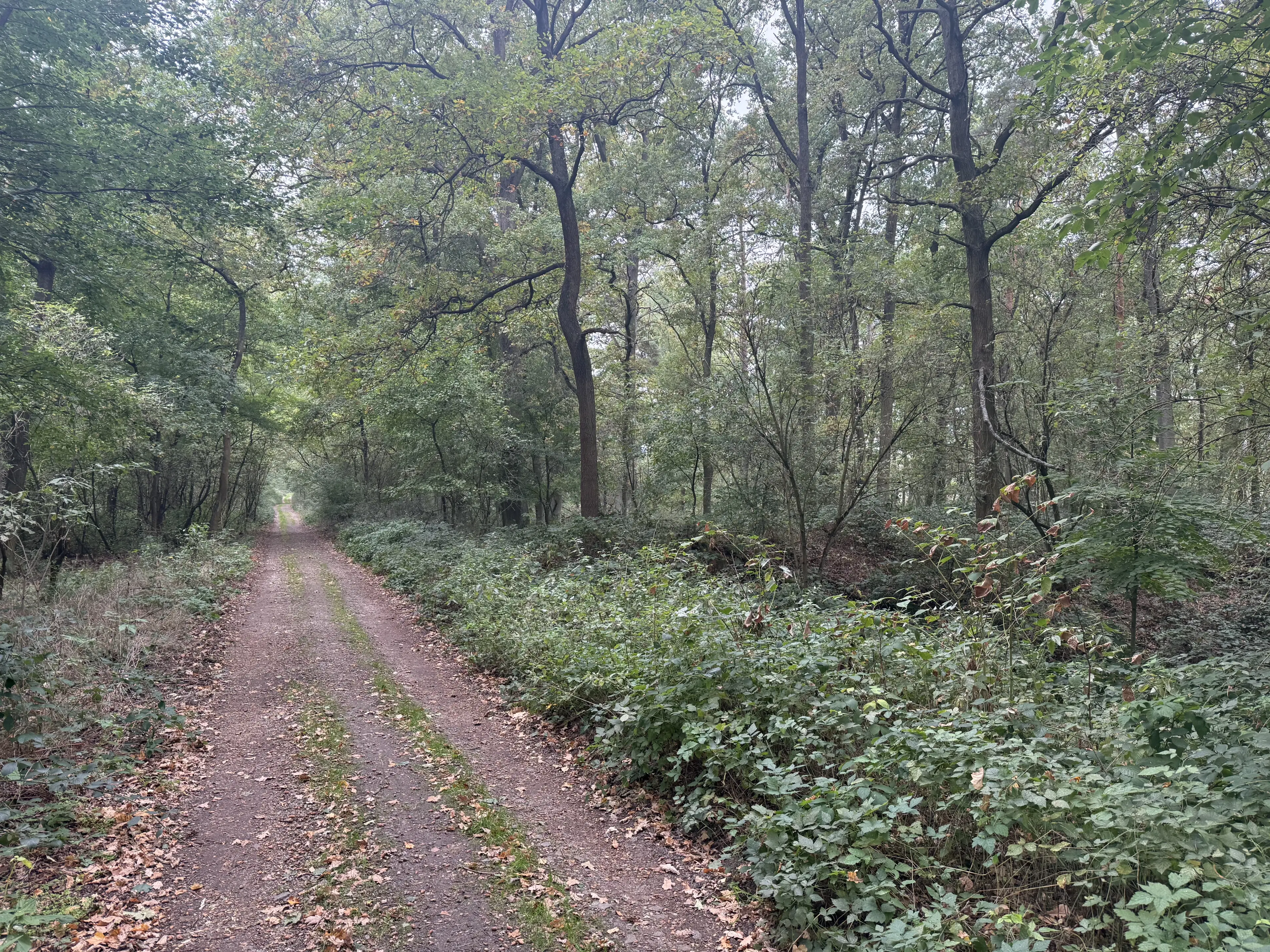 Perceel 762 m² bij het water naast Bad Schmiedeberg - Duitsland