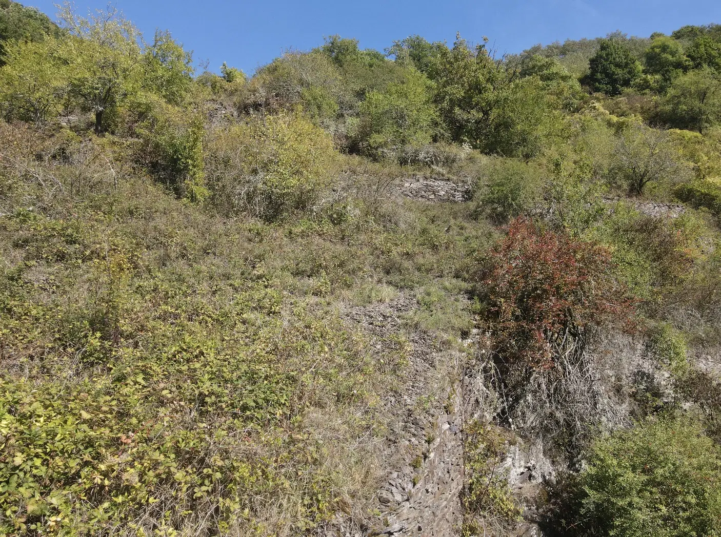 Perceel van 1.165 m2 naast Cochem centrum - Duitsland