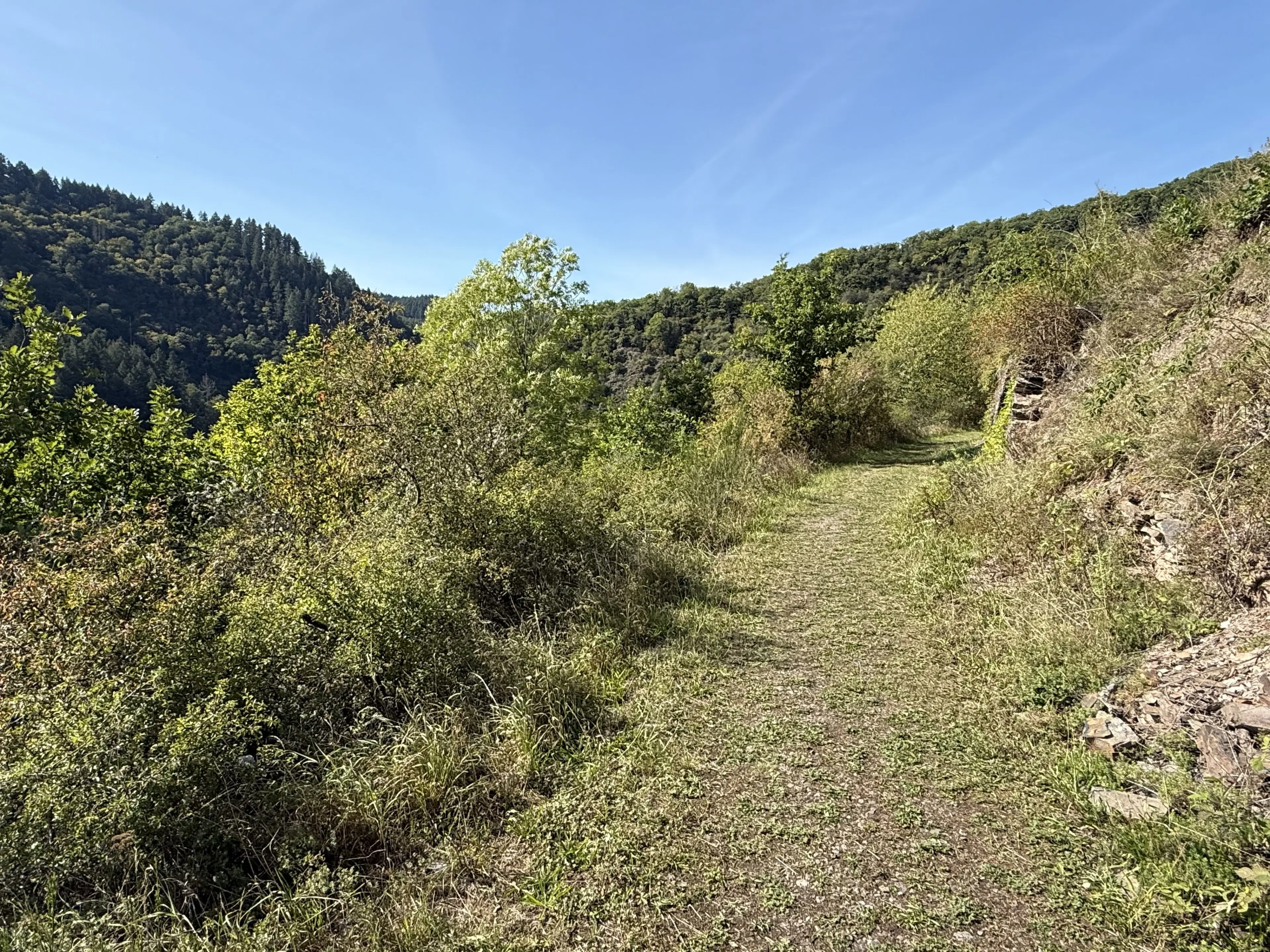 Perceel van 1.165 m2 naast Cochem centrum - Duitsland