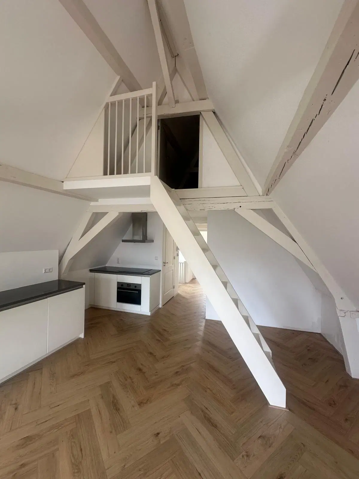 Leiden, Hooigracht 50 50A, 50B en 50C