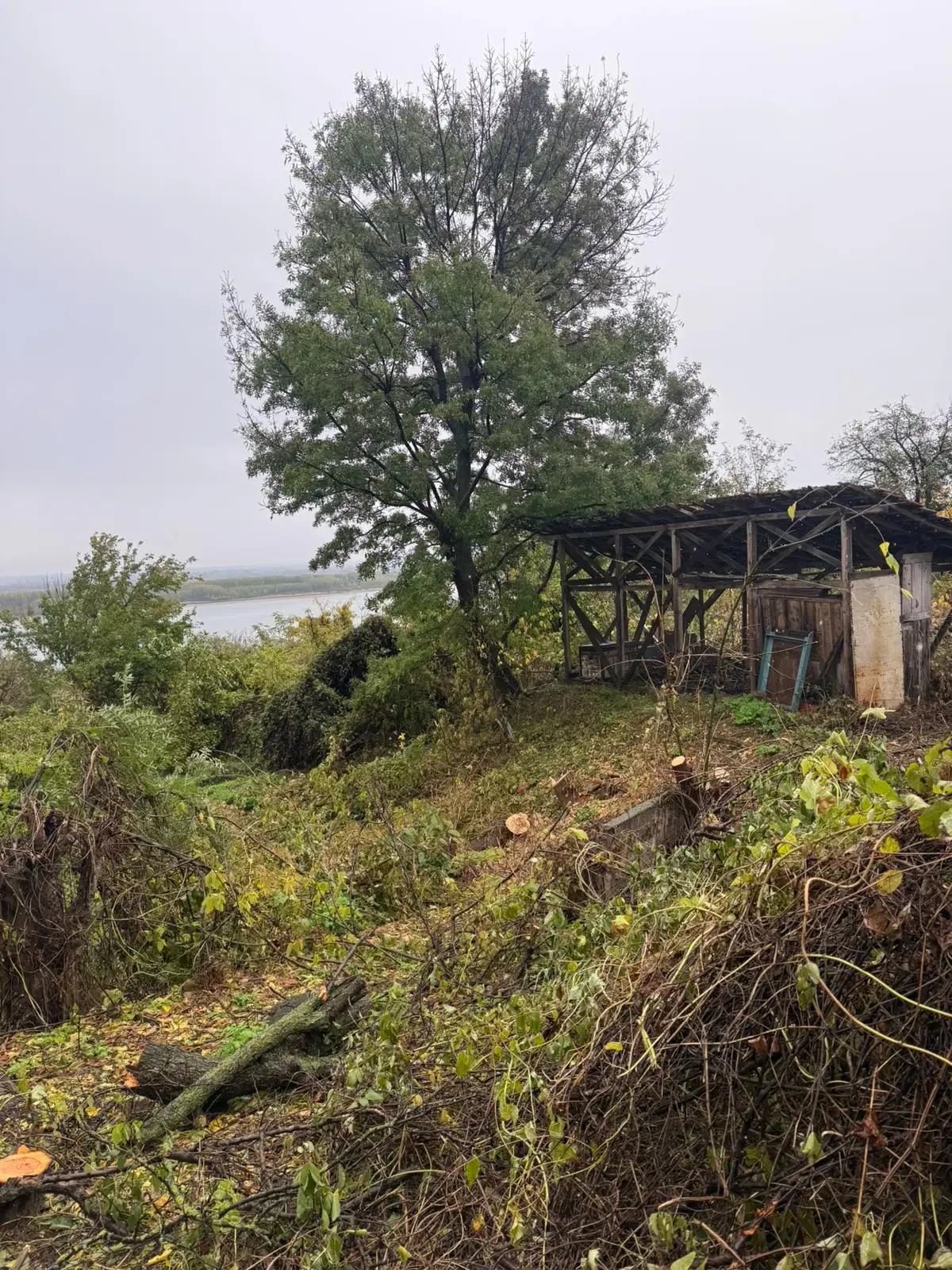 Huis met uitzicht op de rivier de Donau en 449 m² grond in Oryahovo - Bulgarije