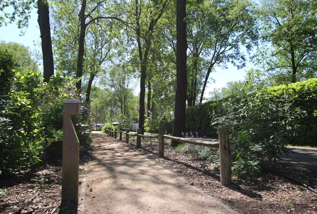 COMBINATIEVEILING - 67 percelen grond gelegen op Resort De Heimolen te Baarle-Nassau