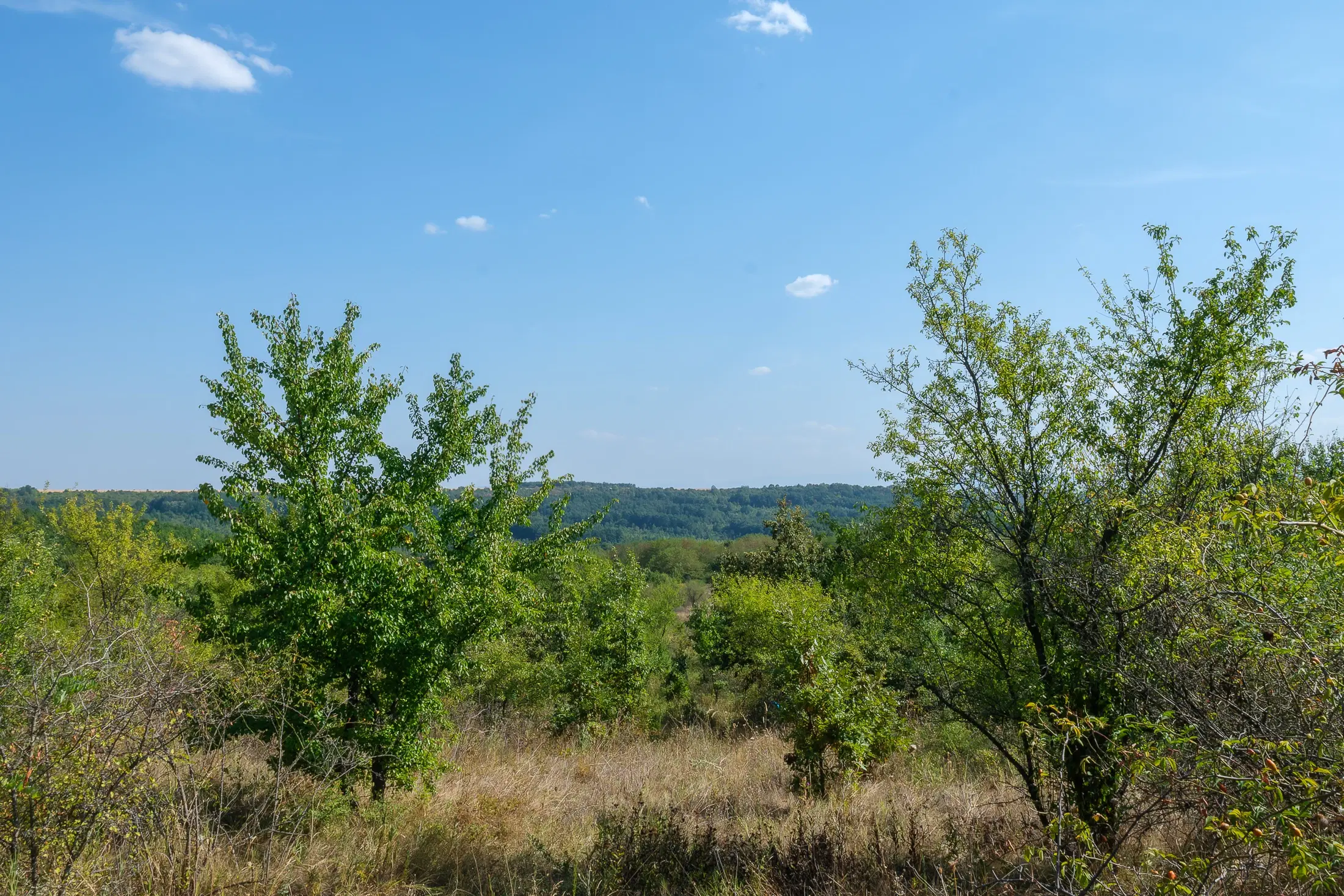 45.863 m² bosgrond in Brankovtsi, Vidin - Bulgarije