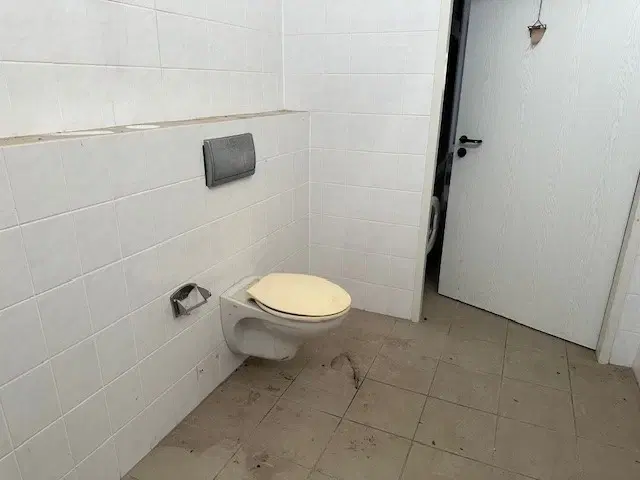 Villa Salzbergwerk op ca. 2.860 m² perceel Staßfurt, Maagdenburg - Duitsland