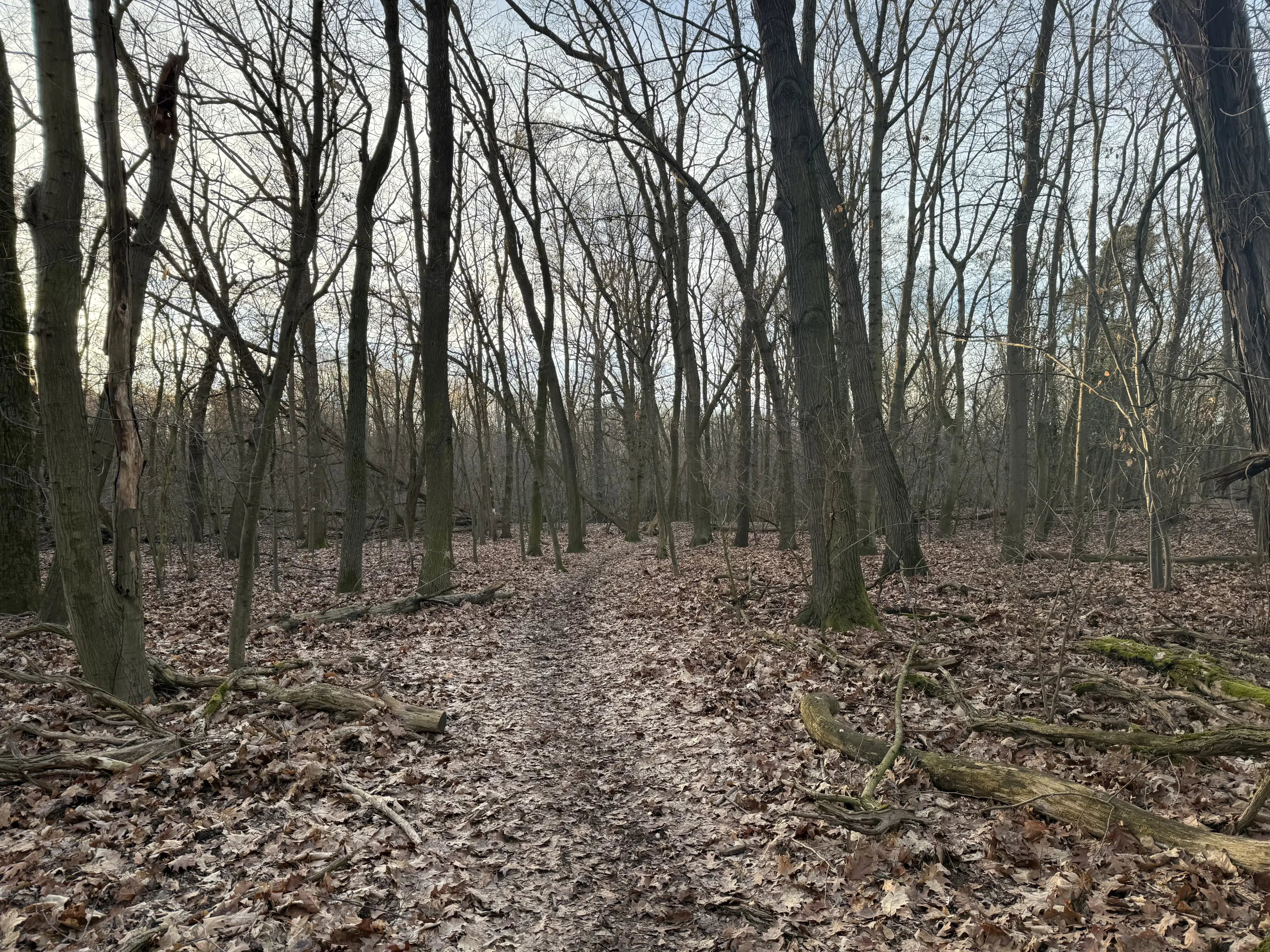 Perceel van 1.125 m² aan het water bij Berlijn - Duitsland
