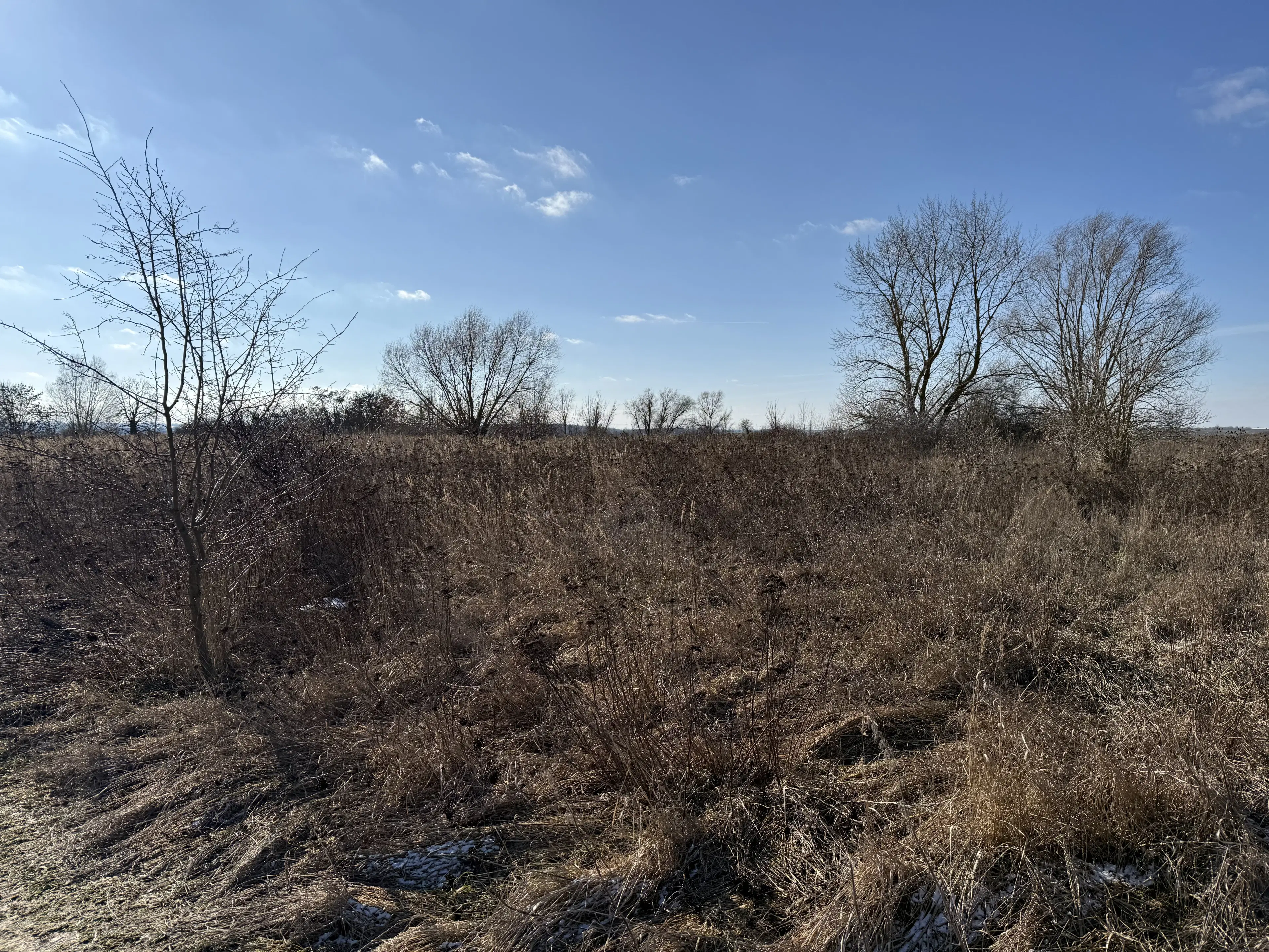 Eigendomsterrein van 7.234 m² in Emden - Duitsland