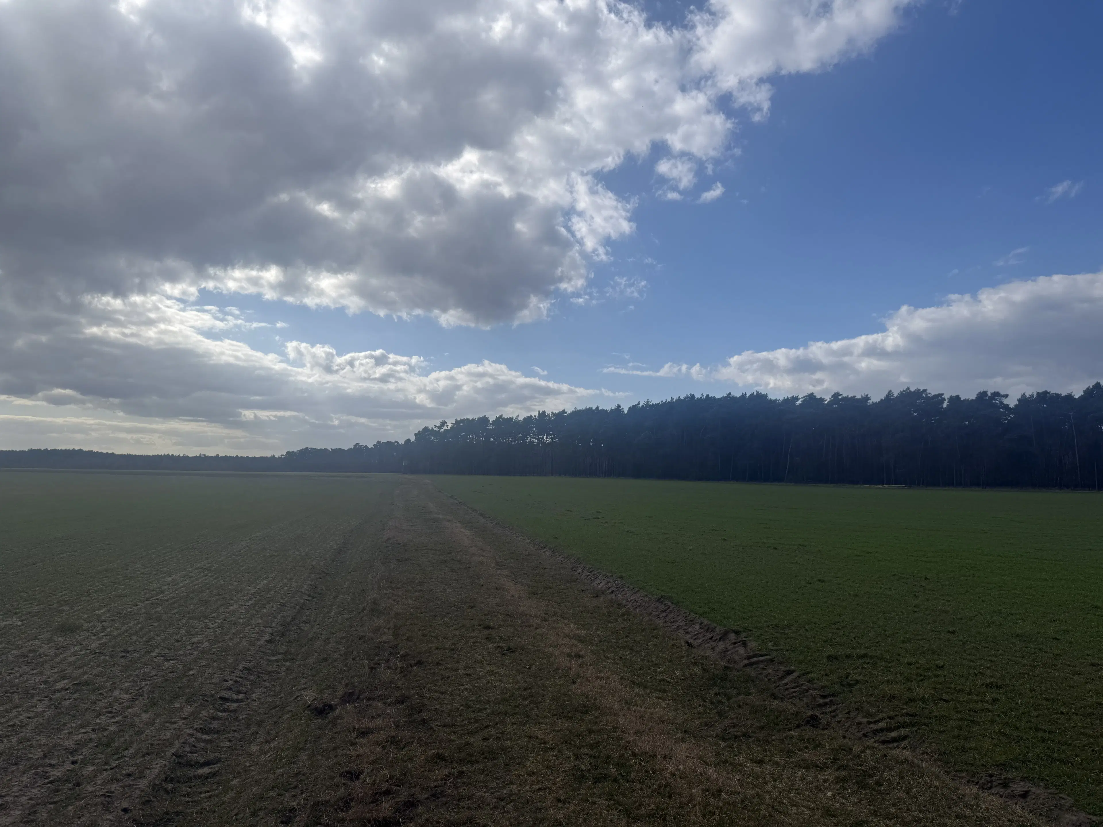 Eigendomsperceel van ca. 3.4 ha in Garlitz, nabij Berlijn - Duitsland