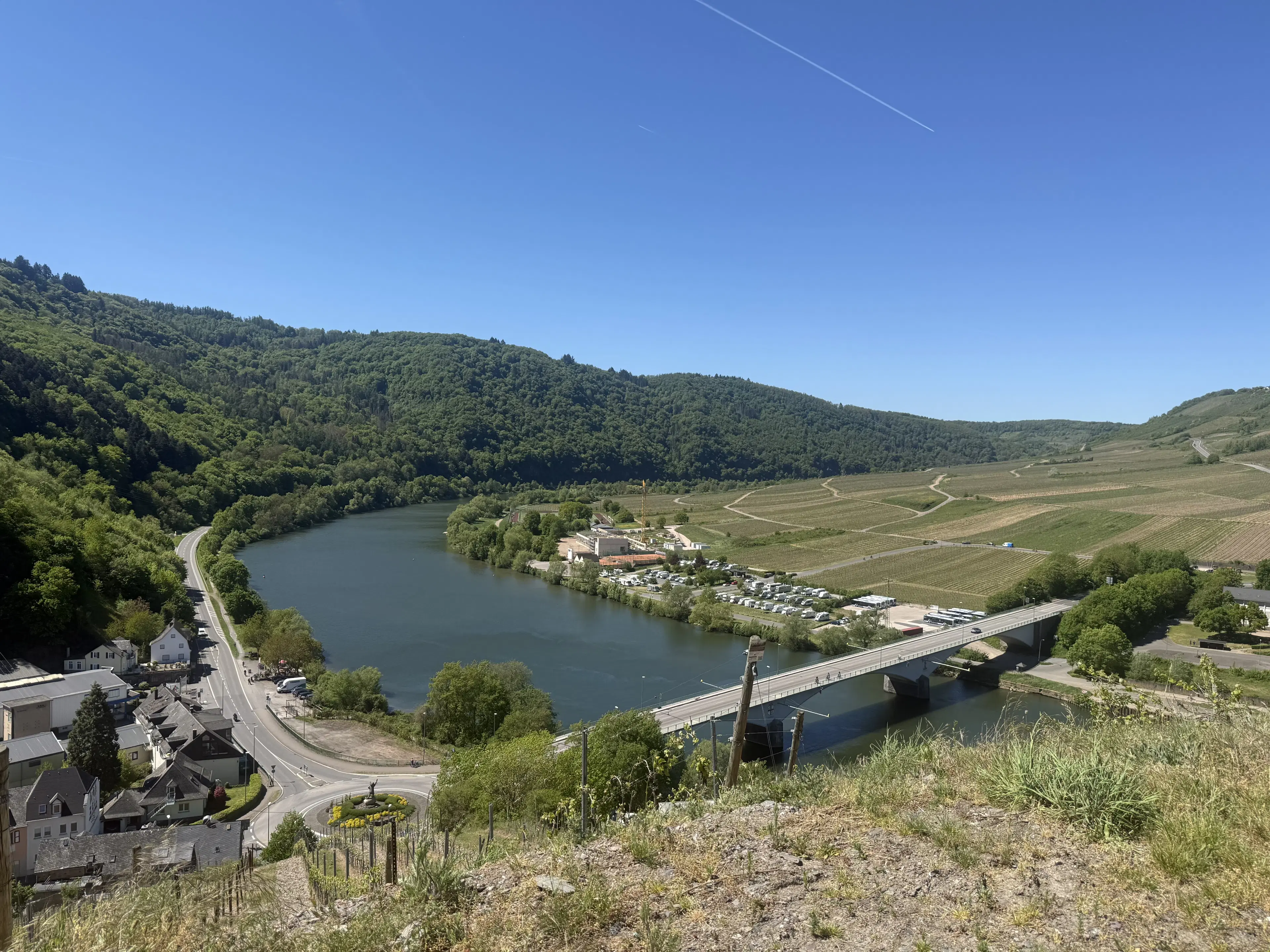 Wijngaard totaal 972 m² met Riesling in Zell, Cochem - Duitsland