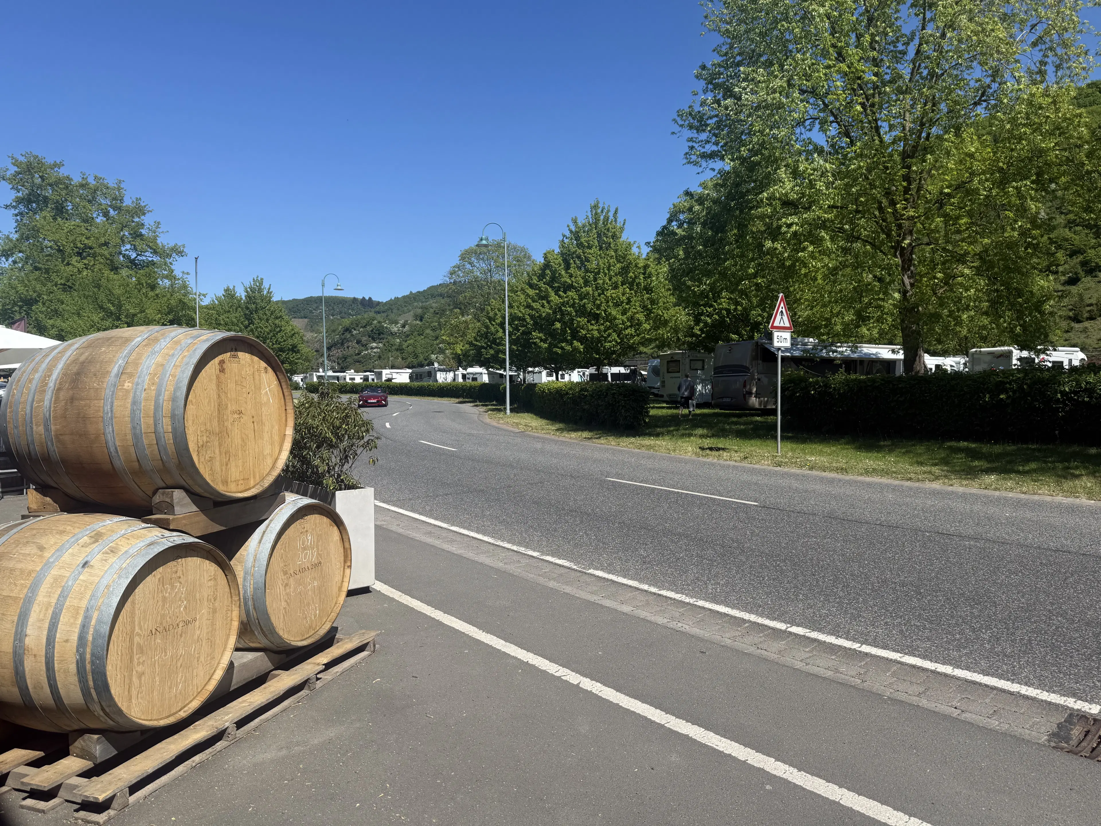 Wijngaard totaal 972 m² met Riesling in Zell, Cochem - Duitsland